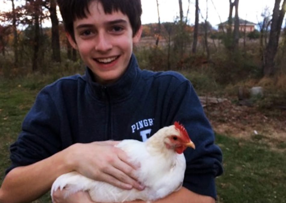 Farm Team Brings Chickens to Campus