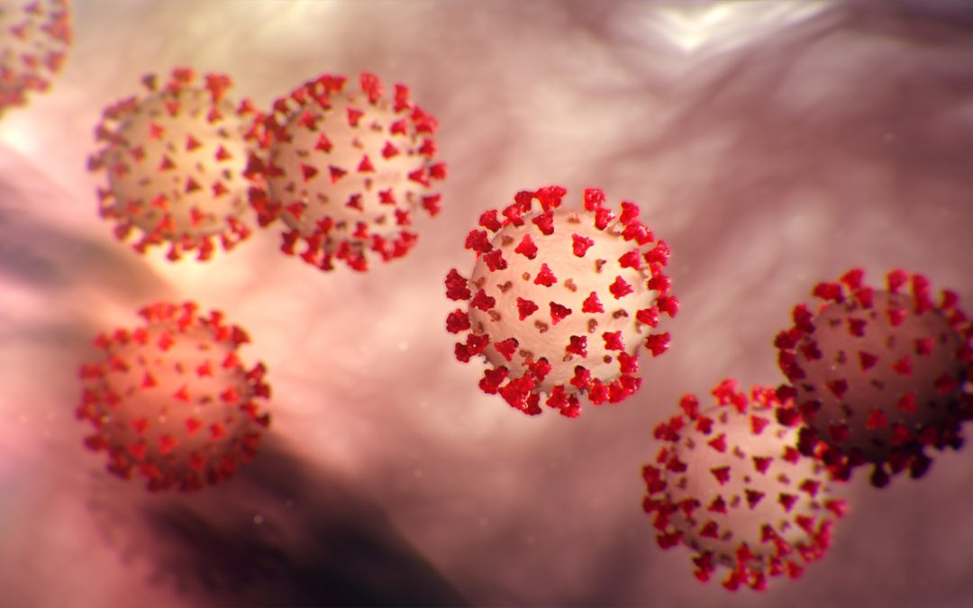 COVID-19 Pandemic Cancels School